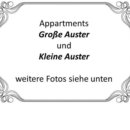 Auster-Appartements ザールブリュッケン エクステリア 写真