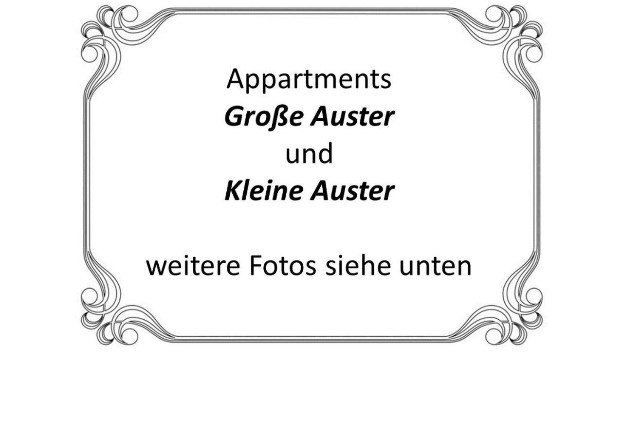 Auster-Appartements ザールブリュッケン エクステリア 写真